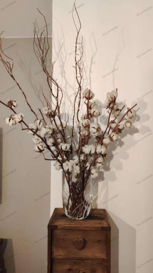 Appartement Meuble Classe 3 Etoiles De 72 M2, 2 Chambres มอร์ซีน ภายนอก รูปภาพ